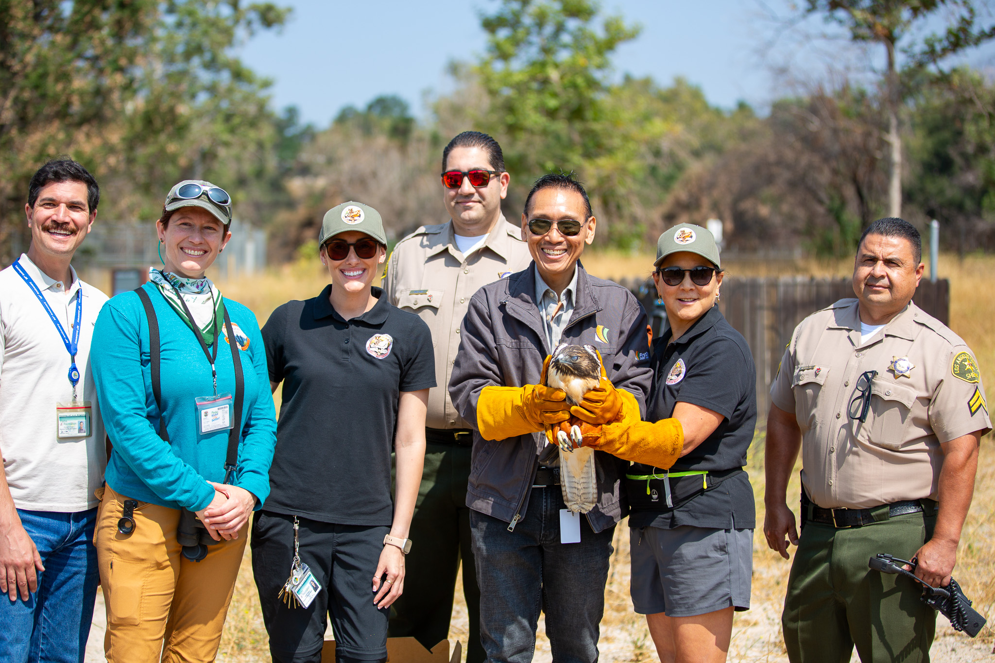 Eaton Canyon with Red Tailed Hawk Eaton Canyon with Red Tailed Hawk